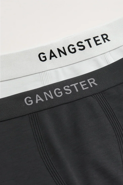 Calzoncillo Calzoncillo Poliamida Duo Gris/Blanco