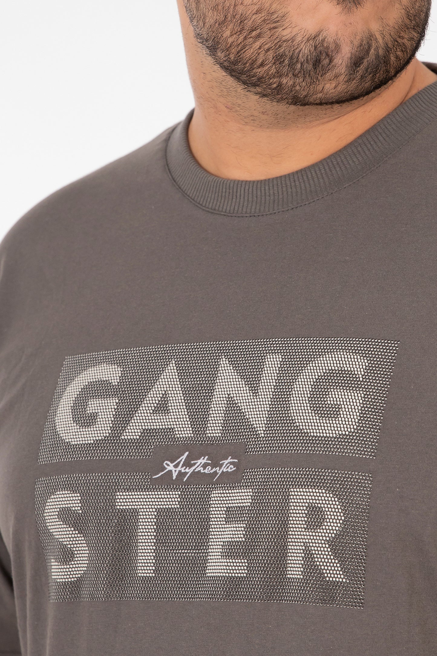 Plus Polera MC Basica Santa Gris