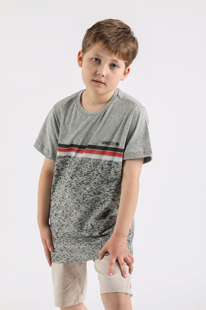 Teen Polera Mc Básica Stridots Gris Gangster