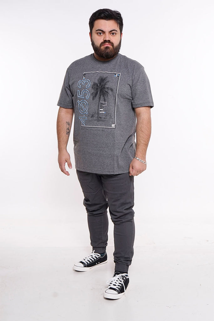 Plus Polera Mc Básica 4053G Gris Gangster